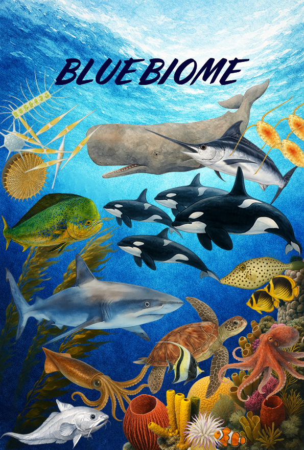 Blue Biome board and cards