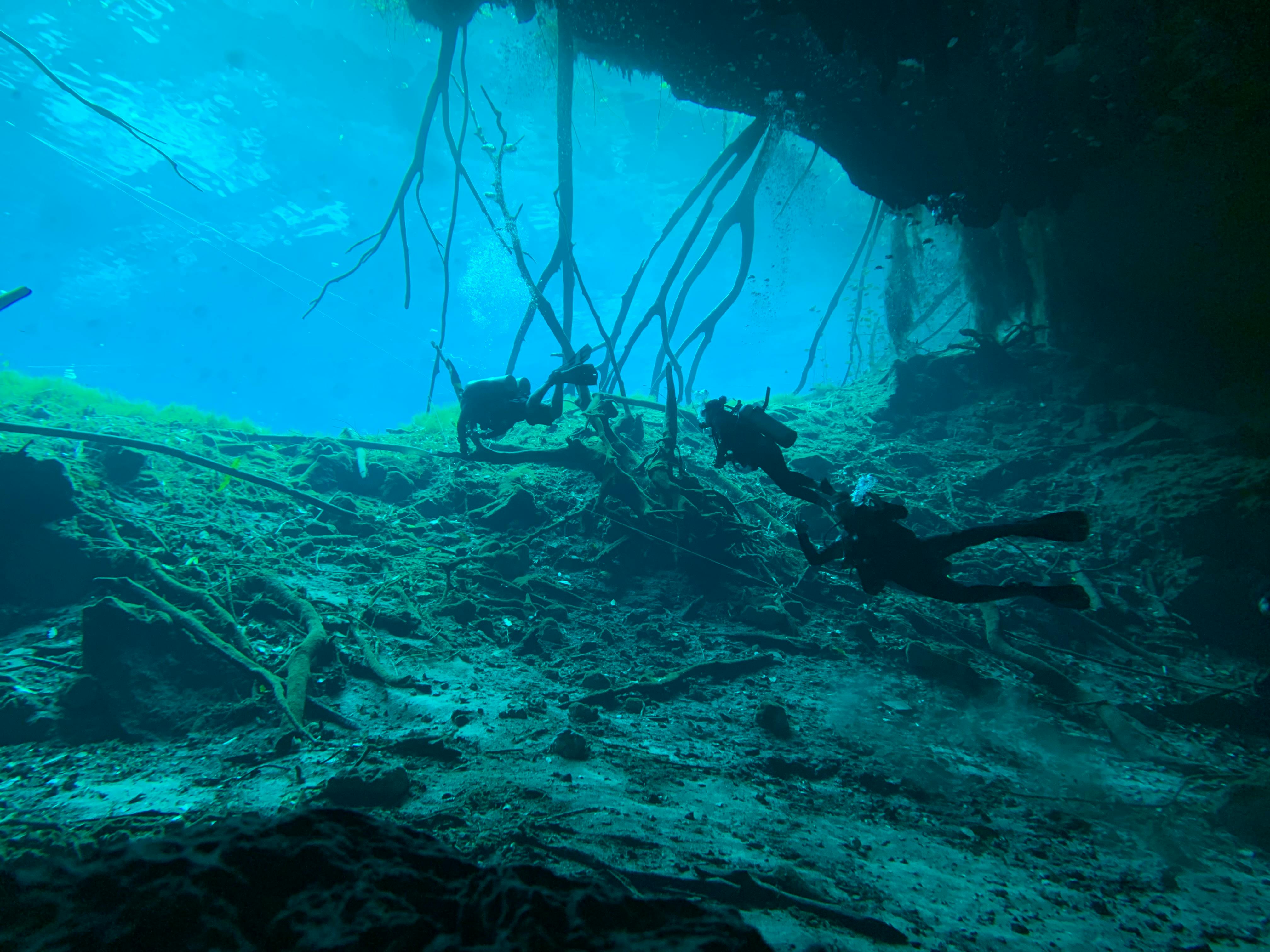 Divers leaving a cave