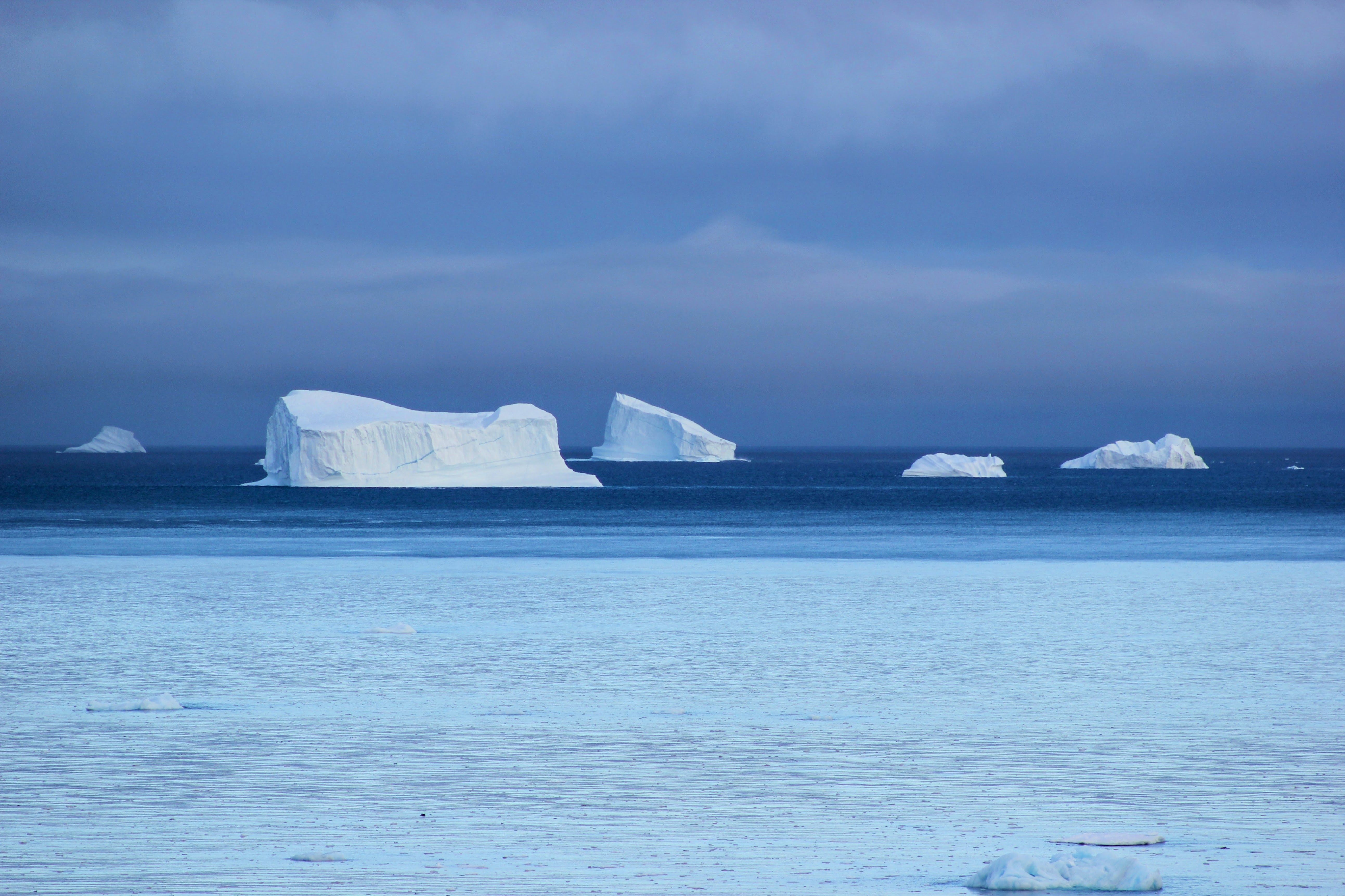 Distant view of icebergs drifting in a cold ocean under an overcast sky