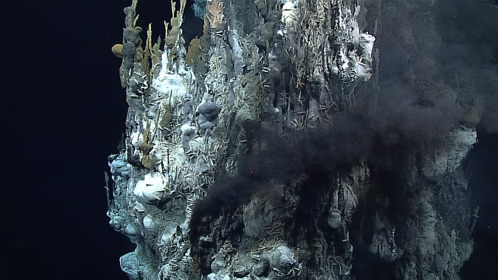 Active Hydrothermal Vent