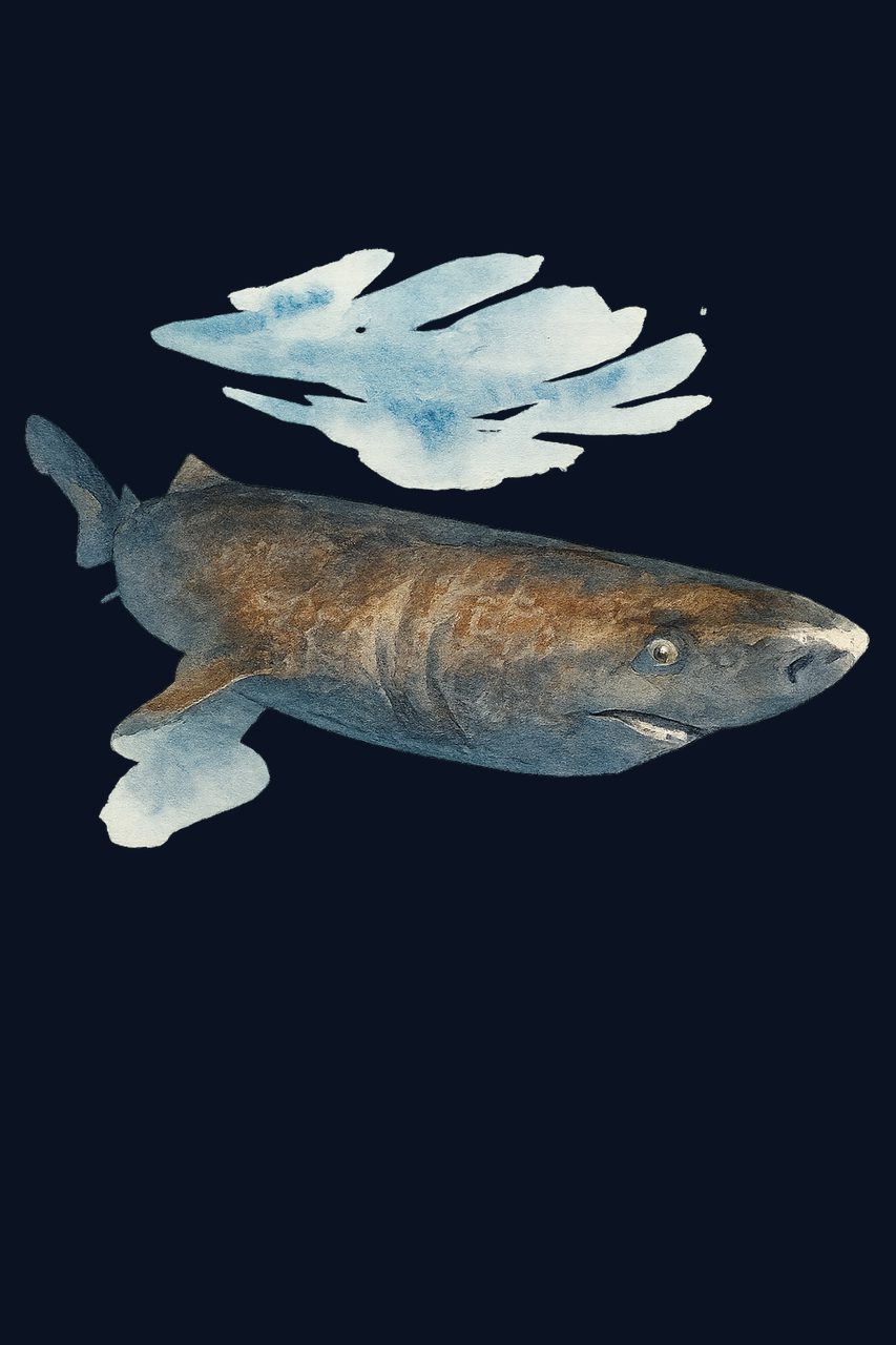 Greenland shark